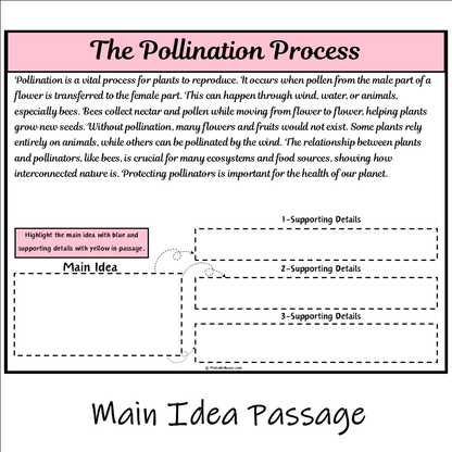 The Pollination Process | Main Idea and Supporting Details Reading Passage and Questions