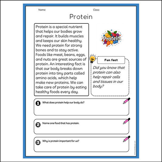 Protein | Reading Passage Comprehension Questions Writing Facts Worksheet