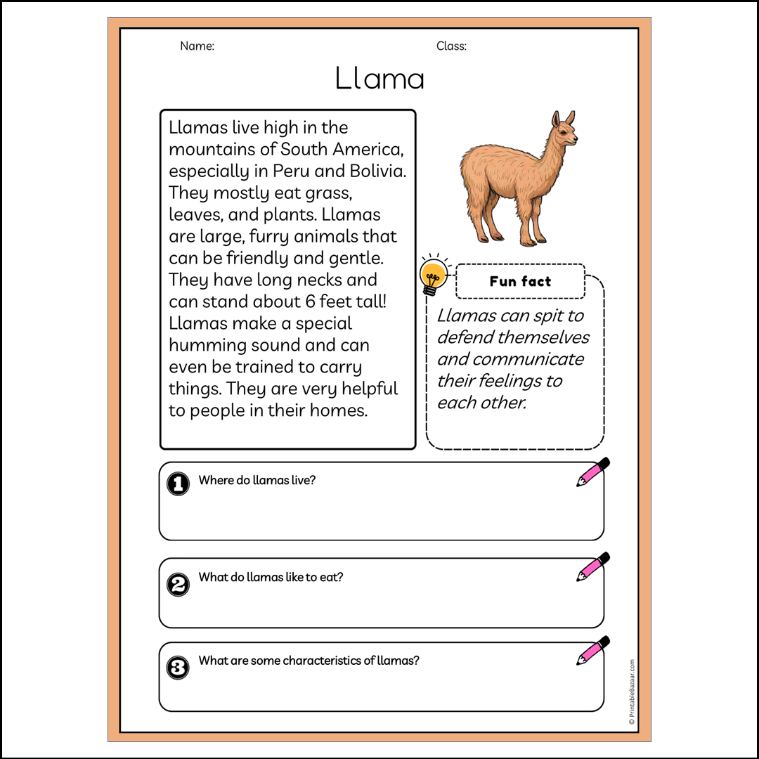 Llama | Reading Passage Comprehension Questions Writing Facts Worksheet