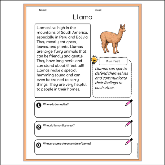 Llama | Reading Passage Comprehension Questions Writing Facts Worksheet