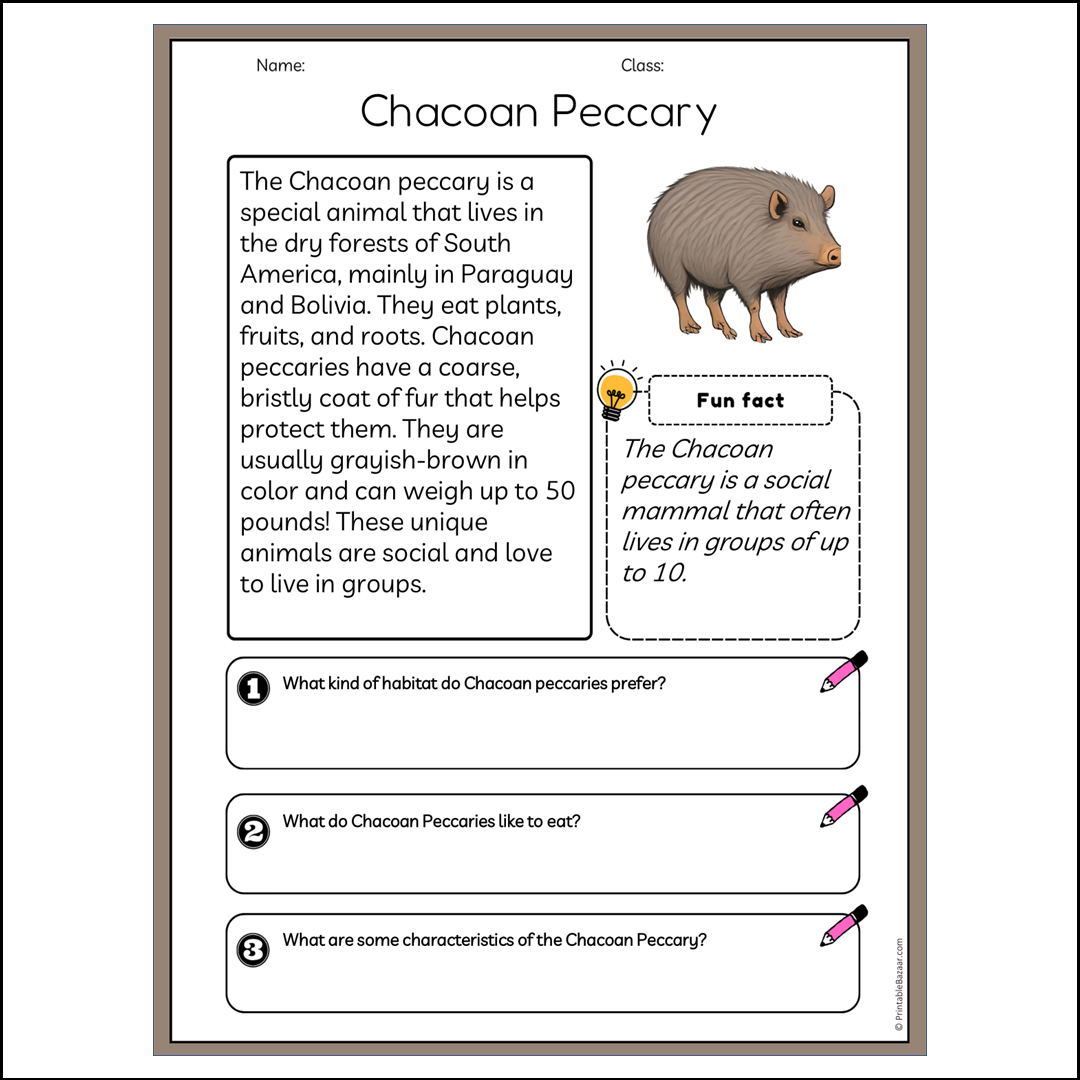 Chacoan Peccary | Reading Passage Comprehension Questions Writing Facts Worksheet