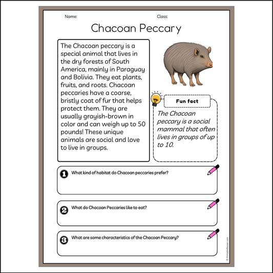 Chacoan Peccary | Reading Passage Comprehension Questions Writing Facts Worksheet