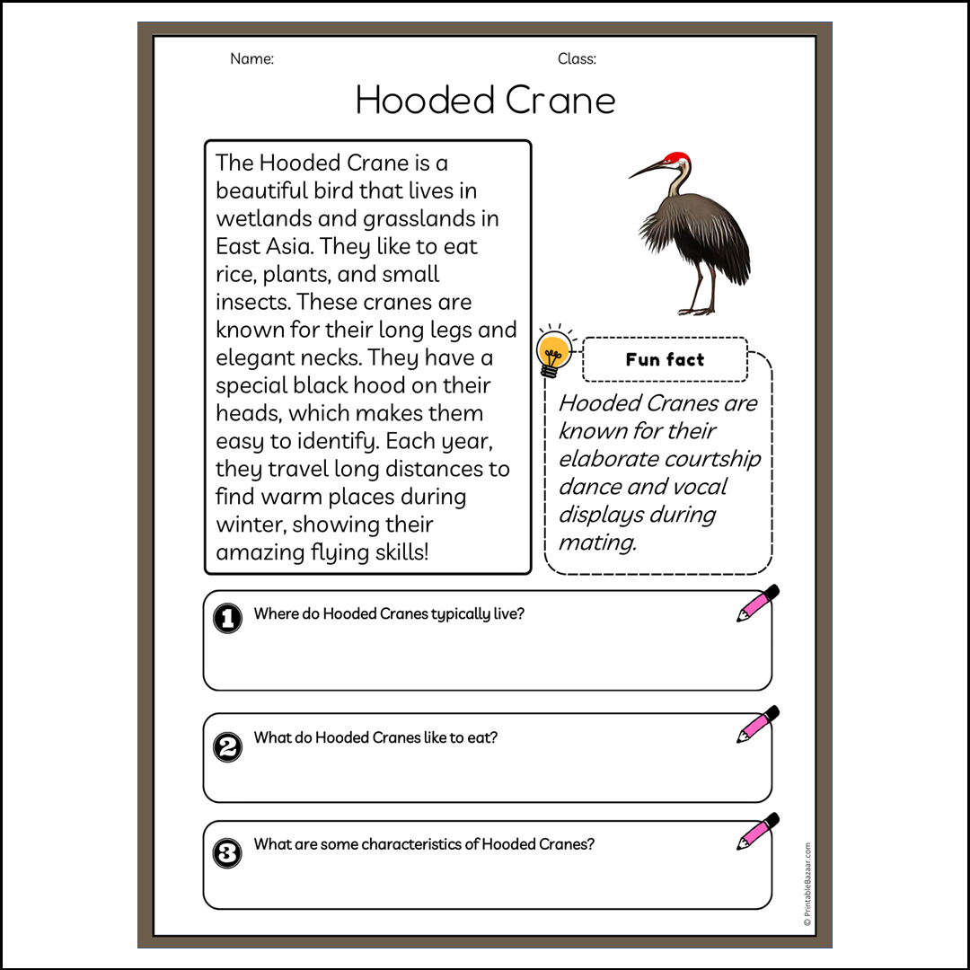 Hooded Crane | Reading Passage Comprehension Questions Writing Facts Worksheet