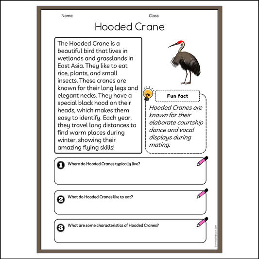 Hooded Crane | Reading Passage Comprehension Questions Writing Facts Worksheet