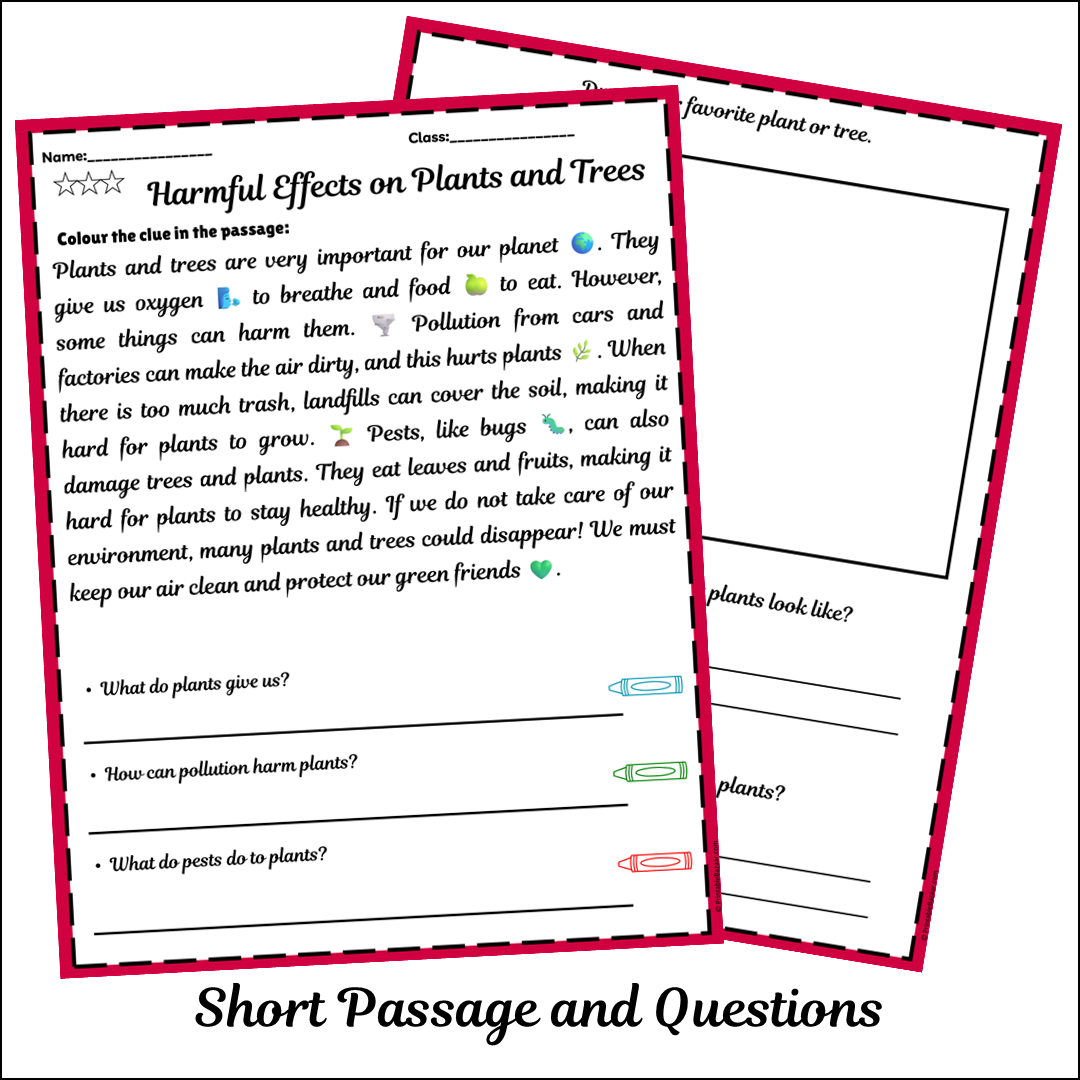 Harmful Effects on Plants and Trees | Short Reading Comprehension Creative Worksheet