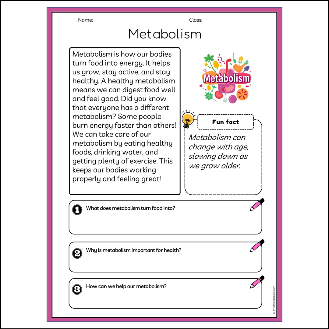 Metabolism | Reading Passage Comprehension Questions Writing Facts Worksheet