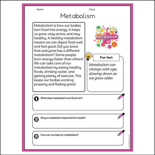 Metabolism | Reading Passage Comprehension Questions Writing Facts Worksheet