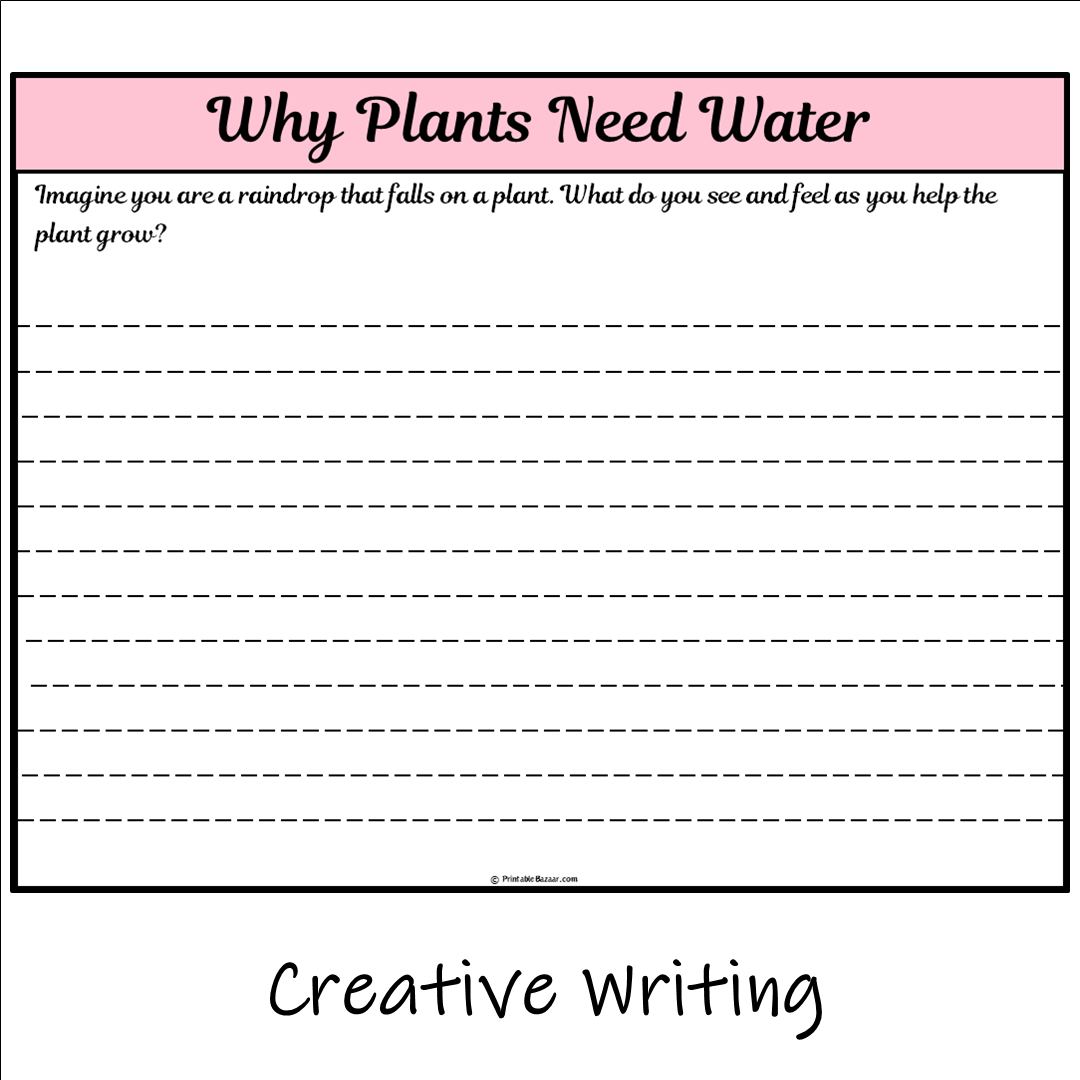 Why Plants Need Water | Main Idea and Supporting Details Reading Passage and Questions