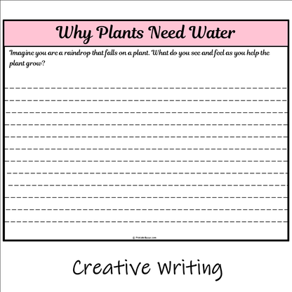 Why Plants Need Water | Main Idea and Supporting Details Reading Passage and Questions