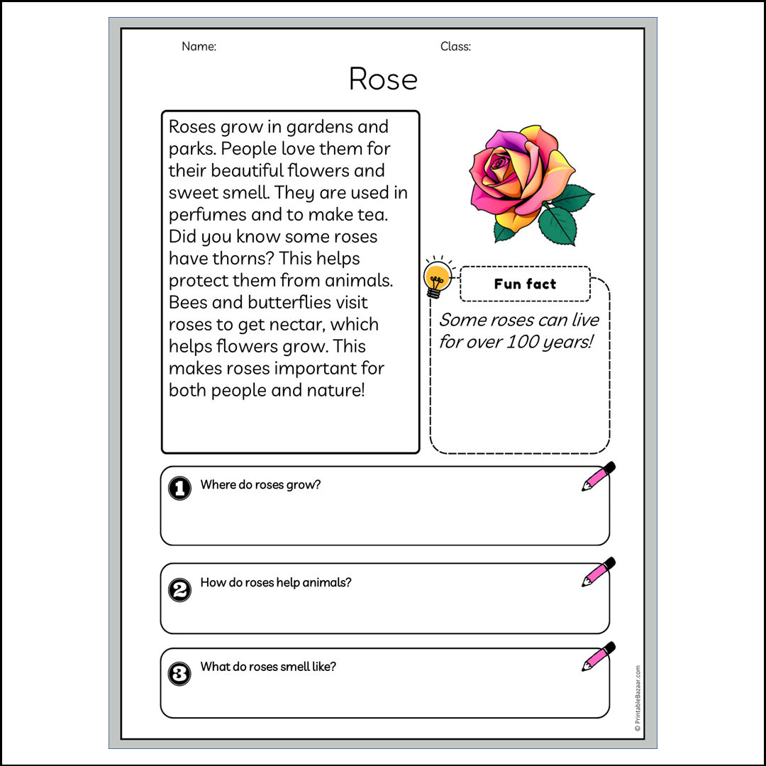 Rose | Reading Passage Comprehension Questions Writing Facts Worksheet