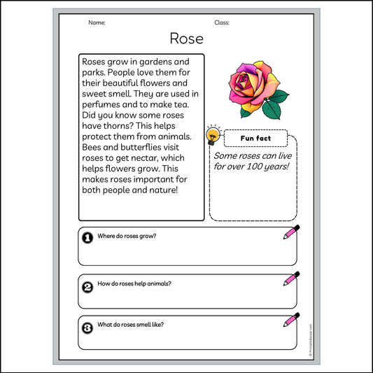 Rose | Reading Passage Comprehension Questions Writing Facts Worksheet