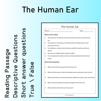 The Human Ear | Reading Comprehension Passage Printable Worksheet