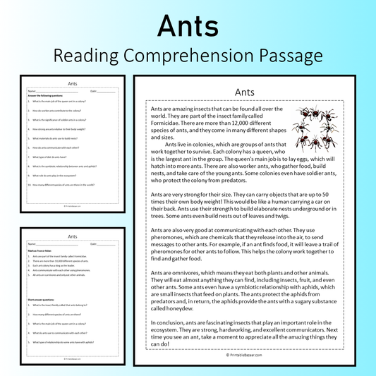 Ants | Reading Comprehension Passage Printable Worksheet