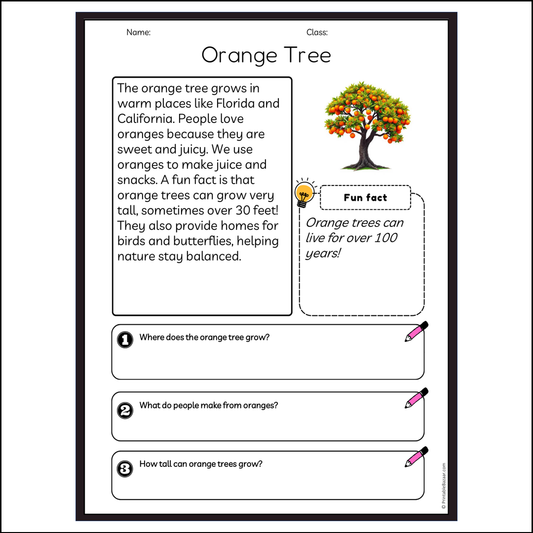 Orange Tree | Reading Passage Comprehension Questions Writing Facts Worksheet