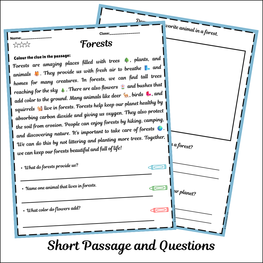 Forests | Short Reading Comprehension Creative Worksheet