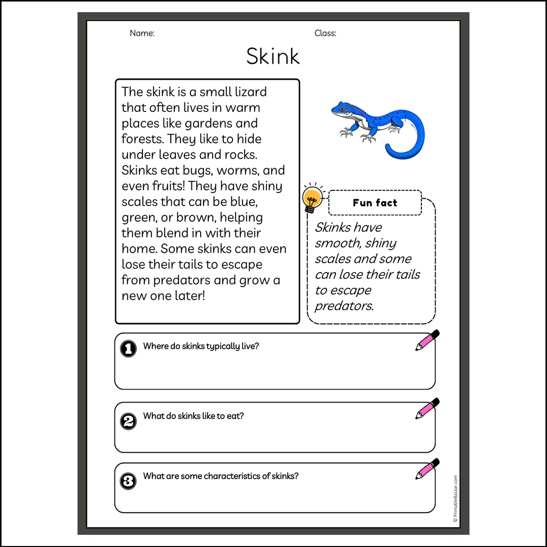 Skink | Reading Passage Comprehension Questions Writing Facts Worksheet