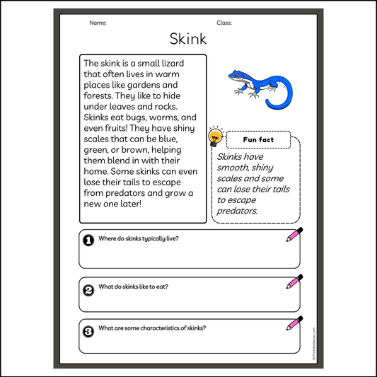 Skink | Reading Passage Comprehension Questions Writing Facts Worksheet