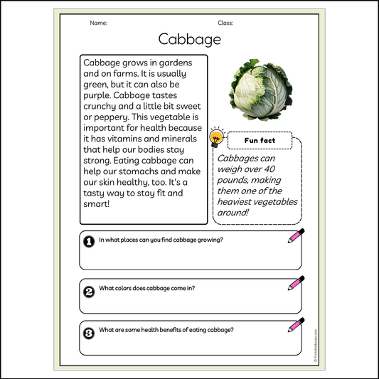 Cabbage | Reading Passage Comprehension Questions Writing Facts Worksheet