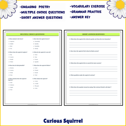 Curious Squirrel | Poem Grammar Worksheet Printable Activity