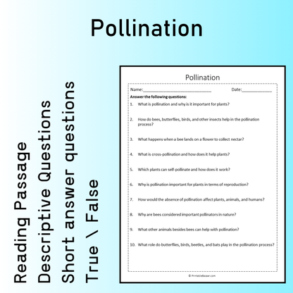 Pollination | Reading Comprehension Passage Printable Worksheet