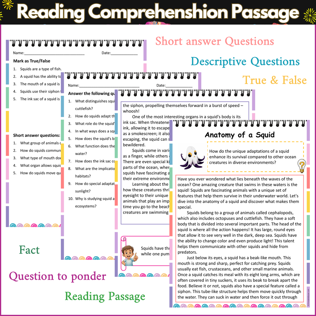 Anatomy of a Squid | Reading Comprehension Passage and Questions