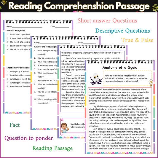 Anatomy of a Squid | Reading Comprehension Passage and Questions