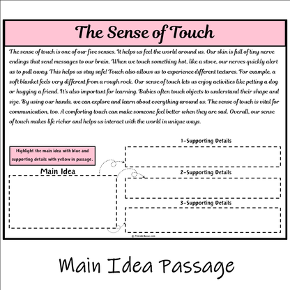 The Sense of Touch | Main Idea and Supporting Details Reading Passage and Questions