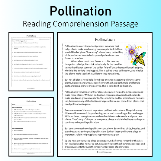 Pollination | Reading Comprehension Passage Printable Worksheet