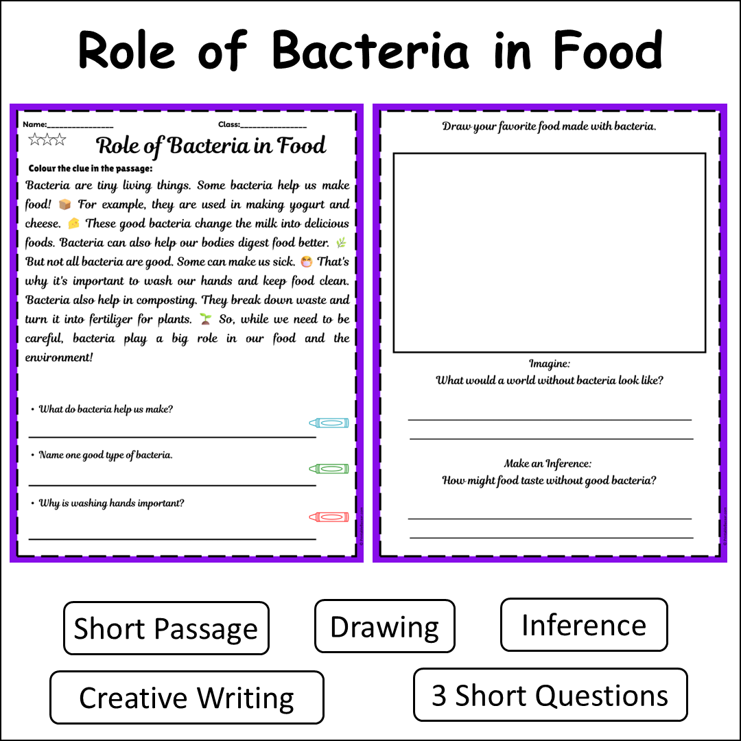 Role of Bacteria in Food | Short Reading Comprehension Creative Worksheet