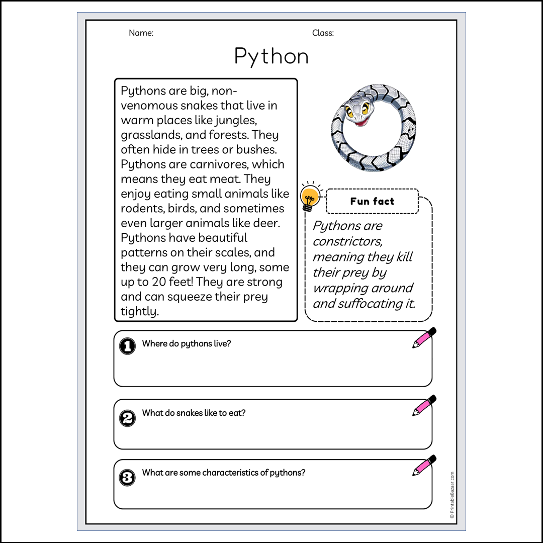 Python | Reading Passage Comprehension Questions Writing Facts Worksheet