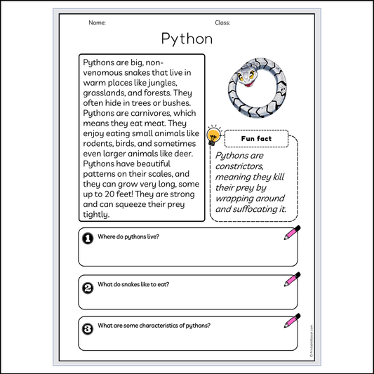 Python | Reading Passage Comprehension Questions Writing Facts Worksheet