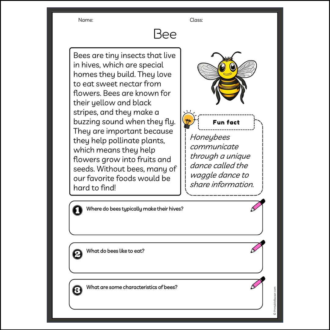 Bee | Reading Passage Comprehension Questions Writing Facts Worksheet