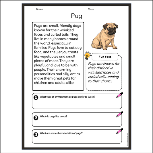 Pug | Reading Passage Comprehension Questions Writing Facts Worksheet