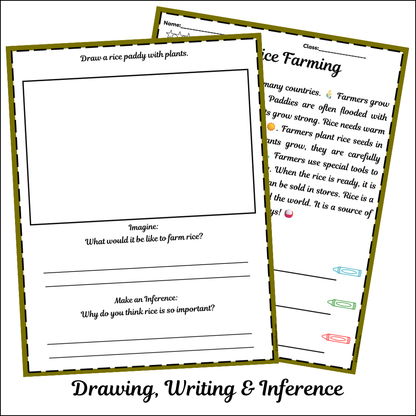 Rice Farming | Short Reading Comprehension Creative Worksheet