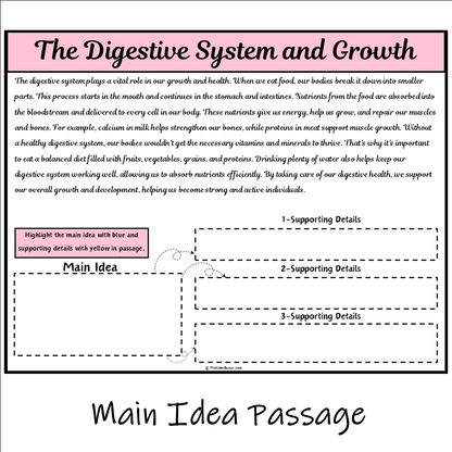 The Digestive System and Growth | Main Idea and Supporting Details Reading Passage and Questions