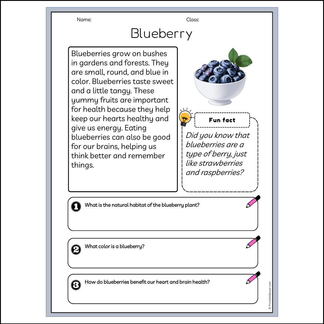 Blueberry | Reading Passage Comprehension Questions Writing Facts Worksheet