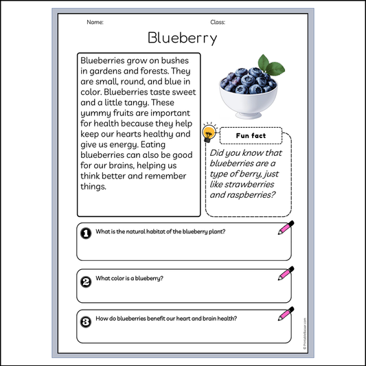 Blueberry | Reading Passage Comprehension Questions Writing Facts Worksheet