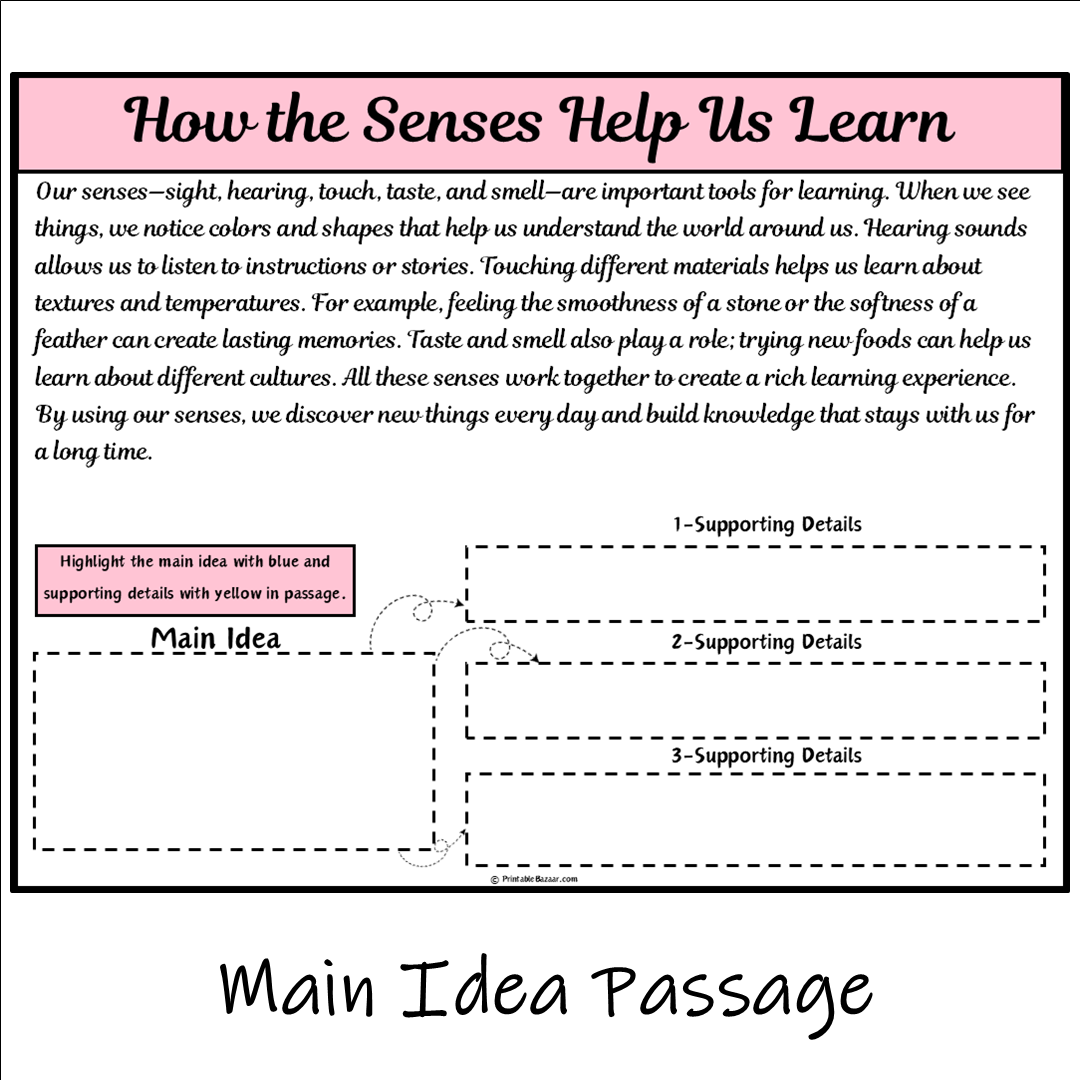 How the Senses Help Us Learn | Main Idea and Supporting Details Reading Passage and Questions