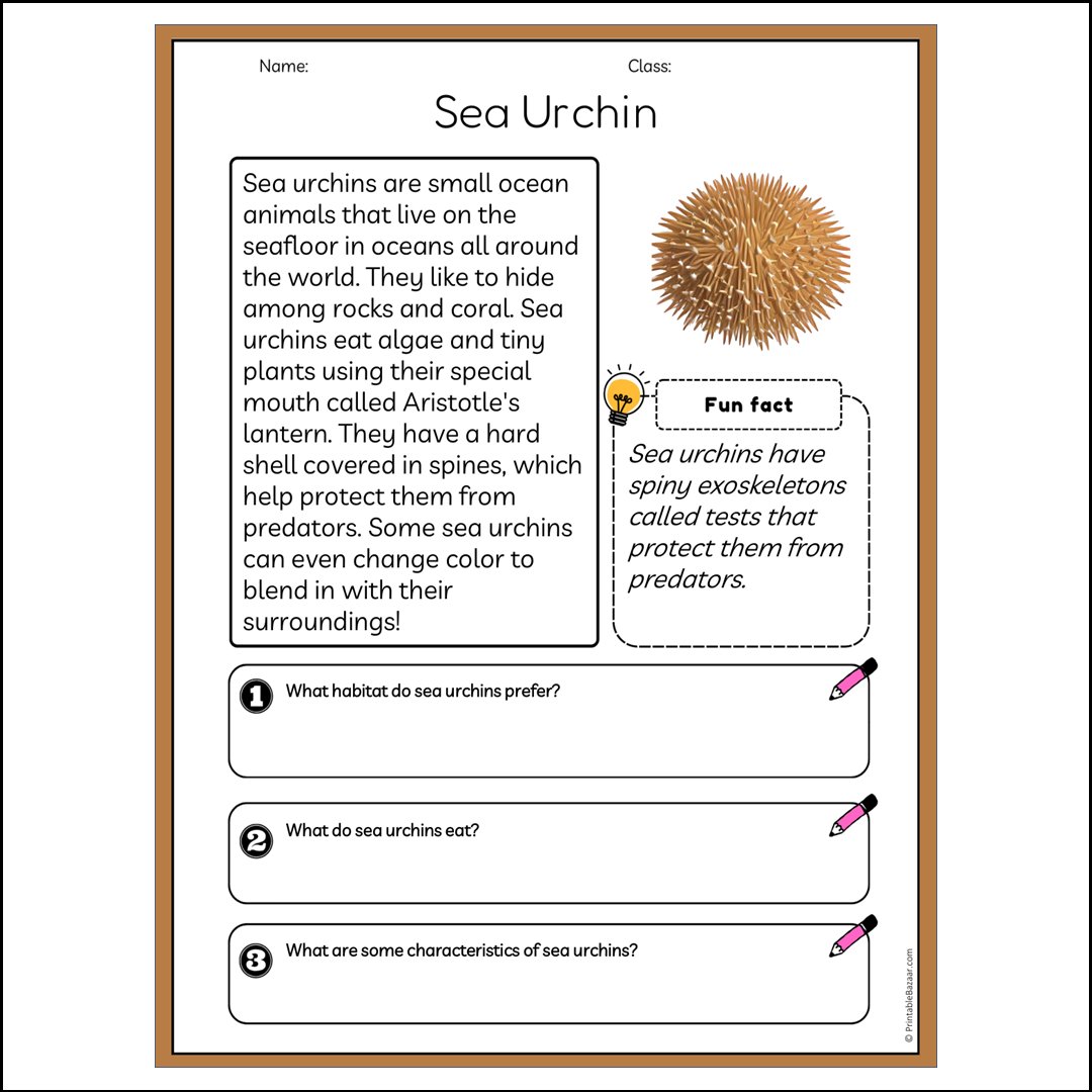 Sea Urchin | Reading Passage Comprehension Questions Writing Facts Worksheet