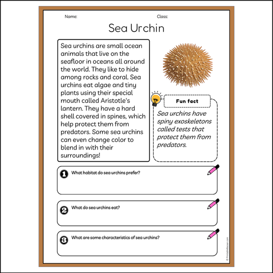 Sea Urchin | Reading Passage Comprehension Questions Writing Facts Worksheet