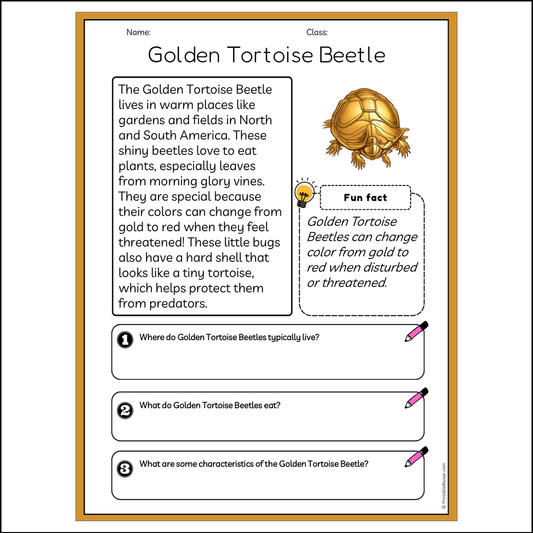 Golden Tortoise Beetle | Reading Passage Comprehension Questions Writing Facts Worksheet