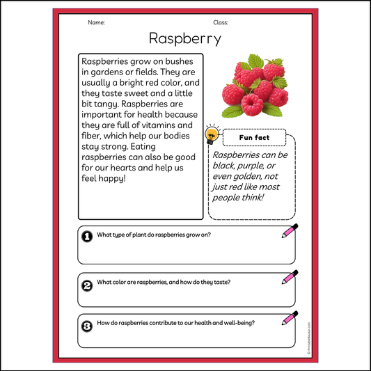 Raspberry | Reading Passage Comprehension Questions Writing Facts Worksheet