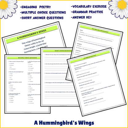 A Hummingbird's Wings | Poem Grammar Worksheet Printable Activity