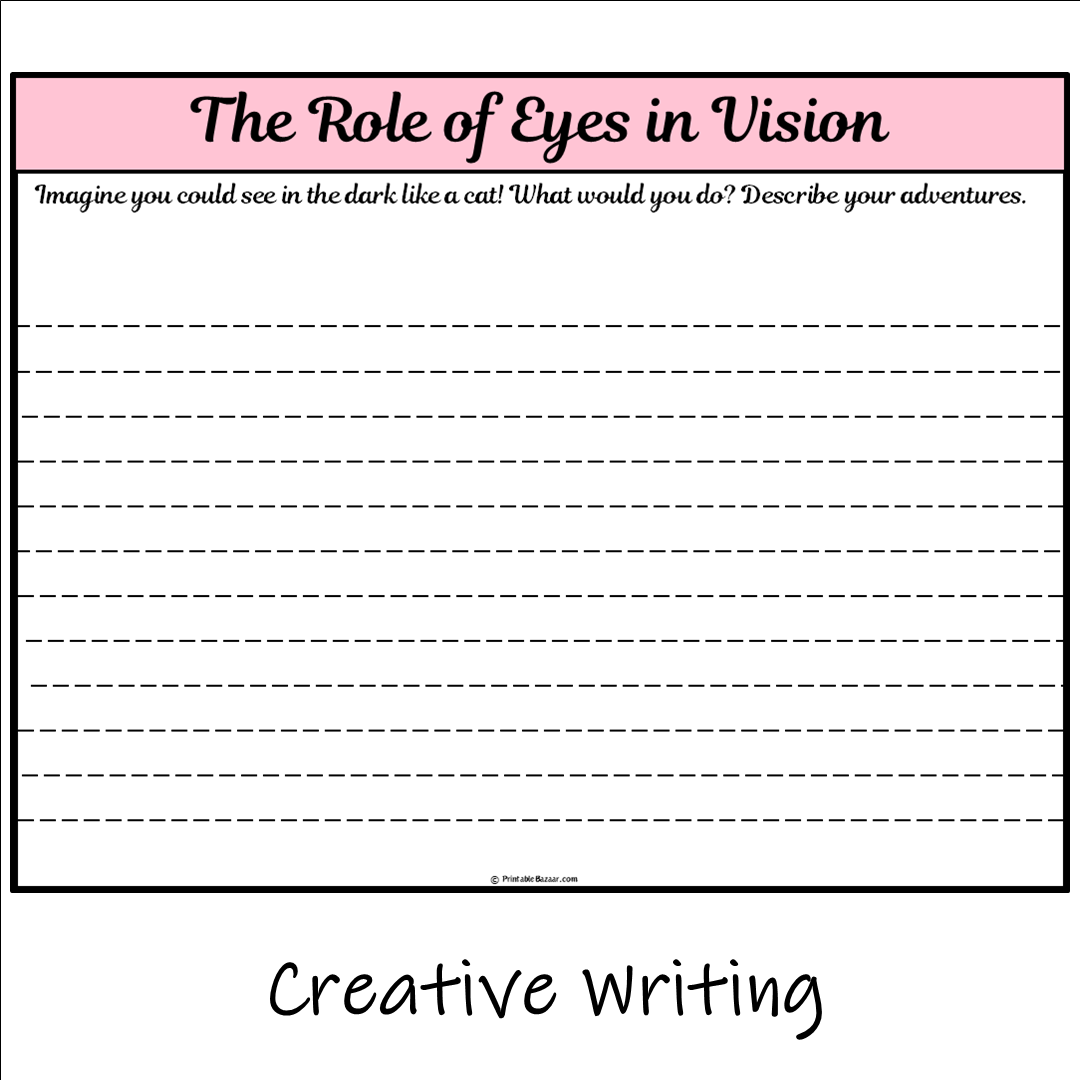 The Role of Eyes in Vision | Main Idea and Supporting Details Reading Passage and Questions