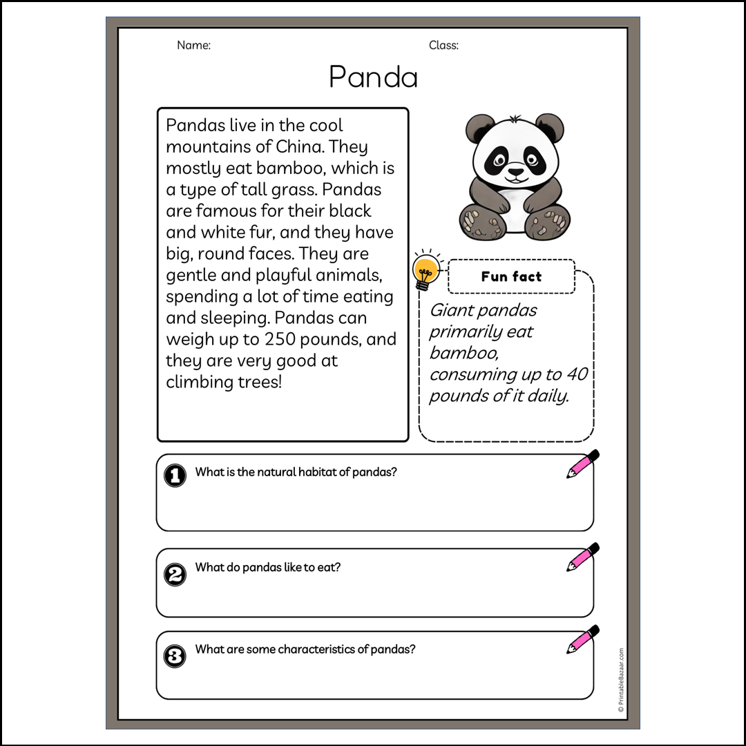 Panda | Reading Passage Comprehension Questions Writing Facts Worksheet