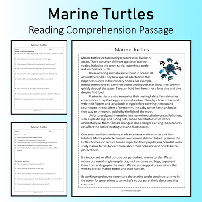 Marine Turtles | Reading Comprehension Passage Printable Worksheet