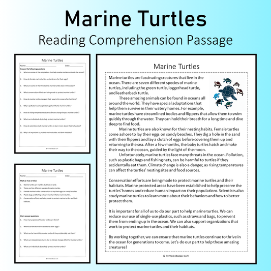 Marine Turtles | Reading Comprehension Passage Printable Worksheet