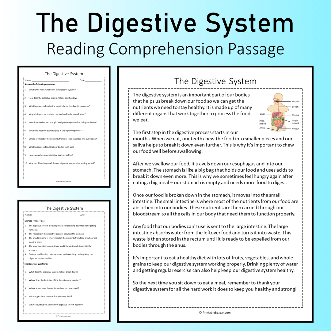 The Digestive System | Reading Comprehension Passage Printable Worksheet