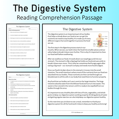 The Digestive System | Reading Comprehension Passage Printable Worksheet