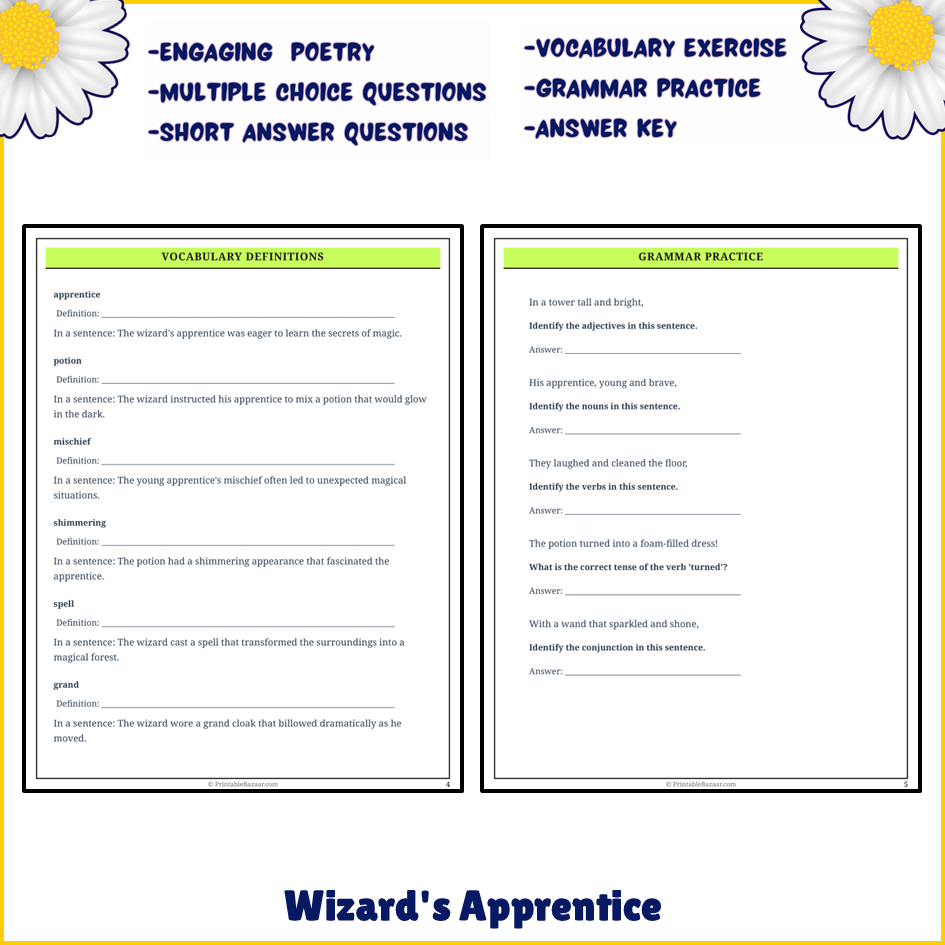 Wizard's Apprentice | Poem Grammar Worksheet Printable Activity